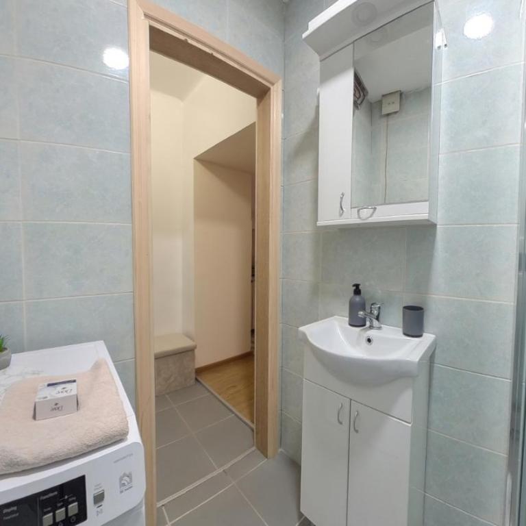 Center Point apartment - One-Bedroom Apartment - 12