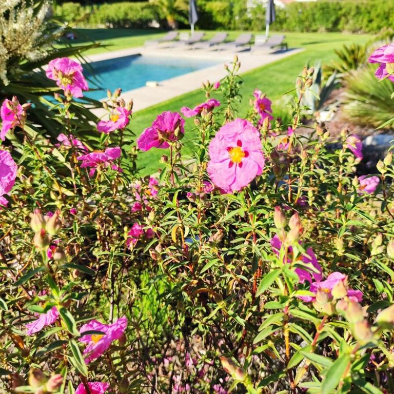 Villa haut de gamme avec piscine et grand jardin - Villa avec Piscine Privée - 40