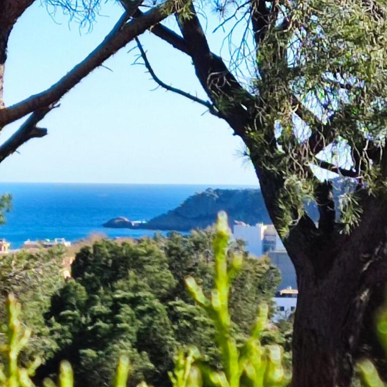 Family home with incredible ocean views - Casa de 3 dormitorios - 2