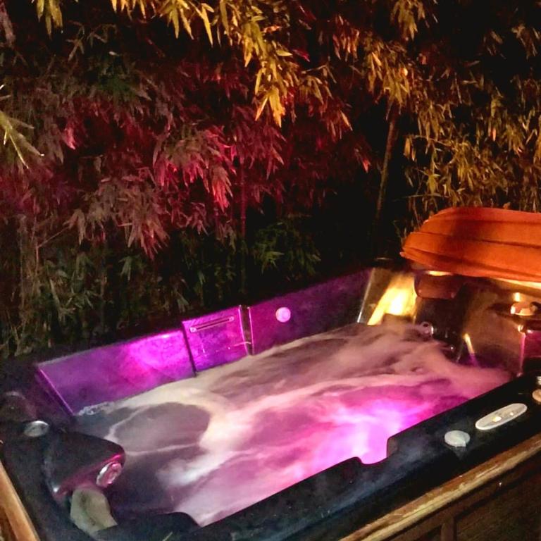 Havre de paix Avignon avec Jacuzzi & Sauna - Haus mit 2 Schlafzimmern - 6