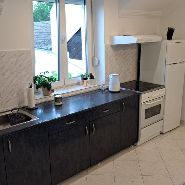 Apartman Pavle - One-Bedroom Apartment - 8