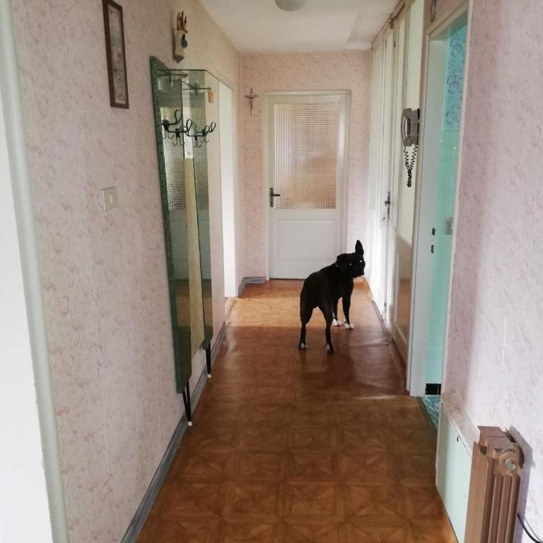 Grande appartamento nella piccola Cortina - Apartment mit 1 Schlafzimmer - 12