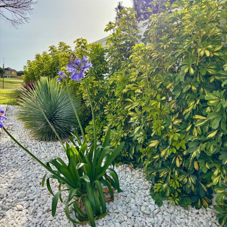 Poniente Beach House - Villa - 21