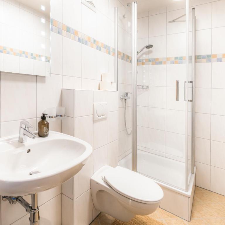Höllhof Dachstein West - Apartment mit 1 Schlafzimmer - 5