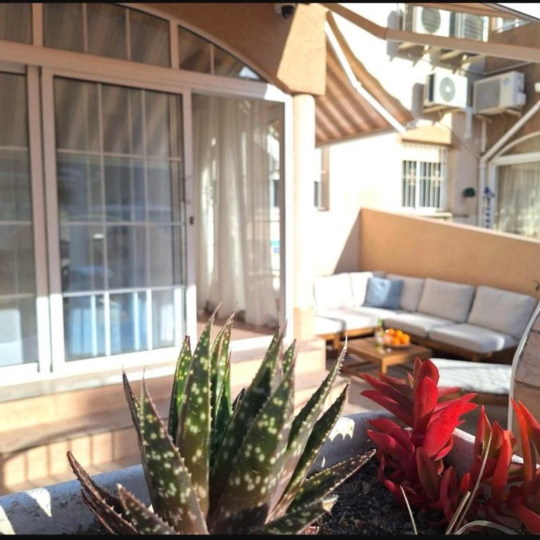 Hola Mar - Apartamento de 2 dormitorios - 14