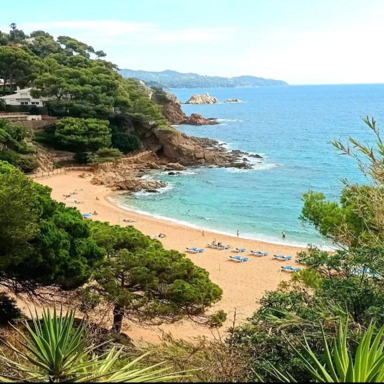 Apartment in Blanes with Stunning Sea Views - Apartamento de 1 dormitorio - 24