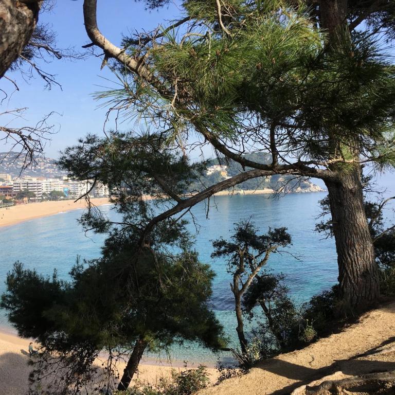 Apartment in Fenals near Beach & Saltwater Pool - Apartamento de 2 dormitorios - 26