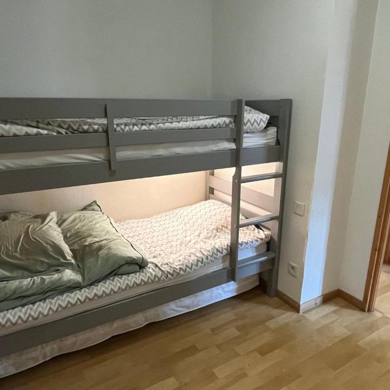 Confortable 2 pièces cabine à Samoëns avec wifi, parking et animaux admis - FR-1-629-105 - Apartment - 13