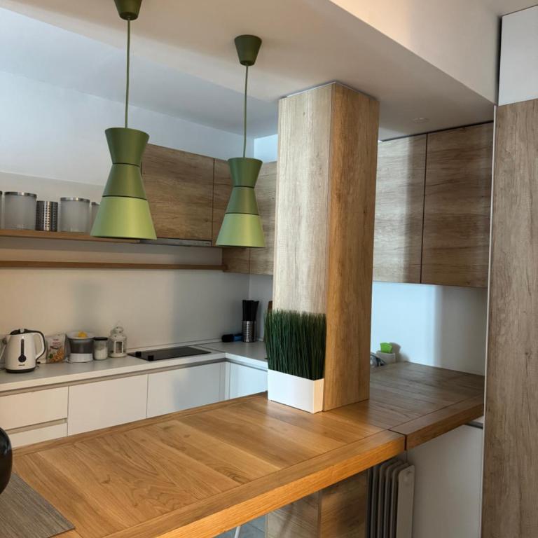 Apartman Vila Jaram, Kopaonik - One-Bedroom Apartment - 3