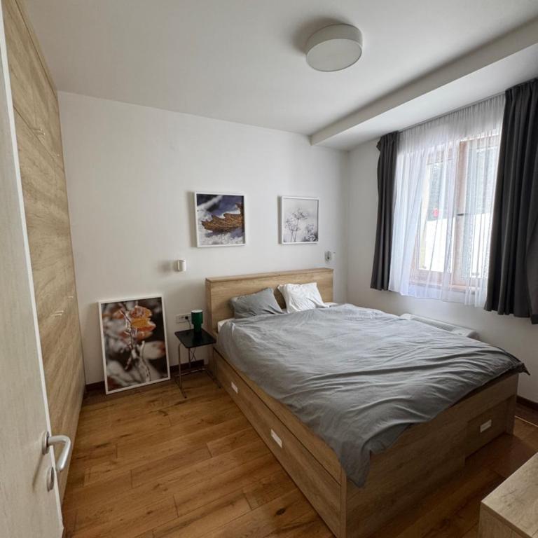 Apartman Vila Jaram, Kopaonik - One-Bedroom Apartment - 7