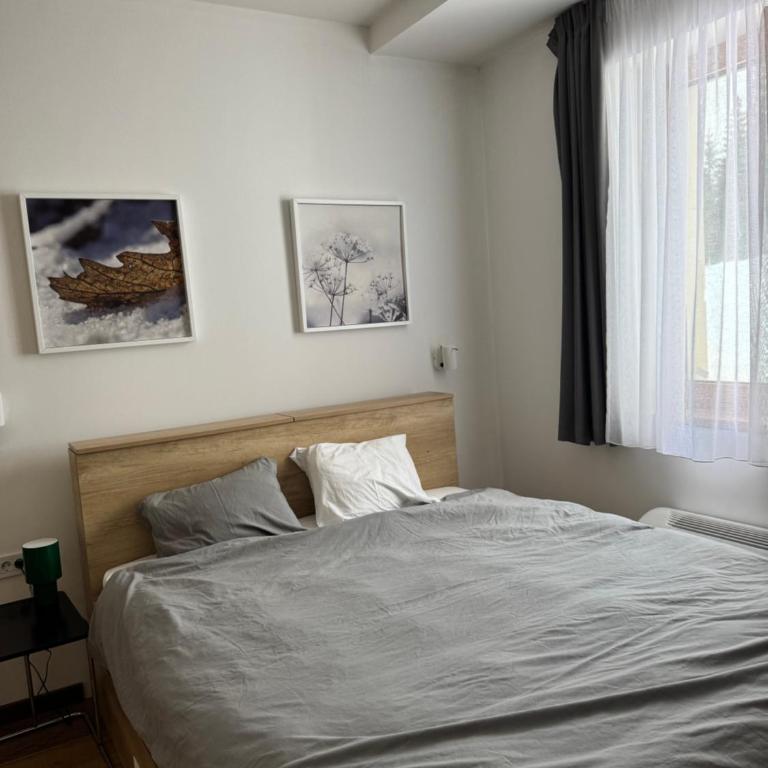 Apartman Vila Jaram, Kopaonik - One-Bedroom Apartment - 9