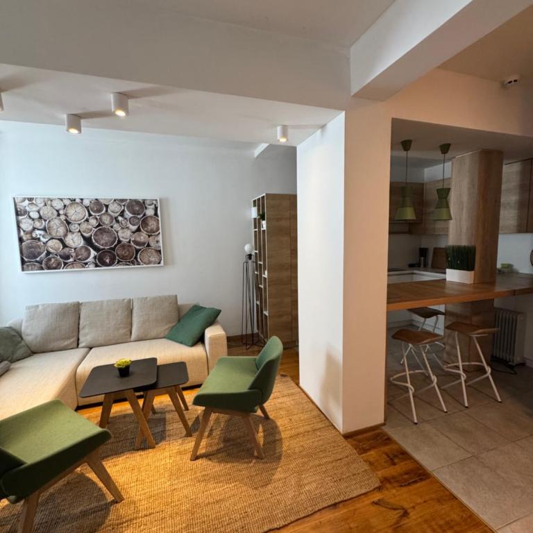 Apartman Vila Jaram, Kopaonik - One-Bedroom Apartment - 11