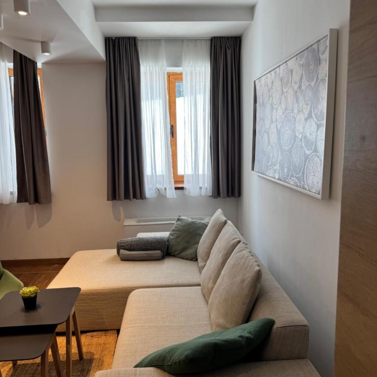 Apartman Vila Jaram, Kopaonik - One-Bedroom Apartment - 15