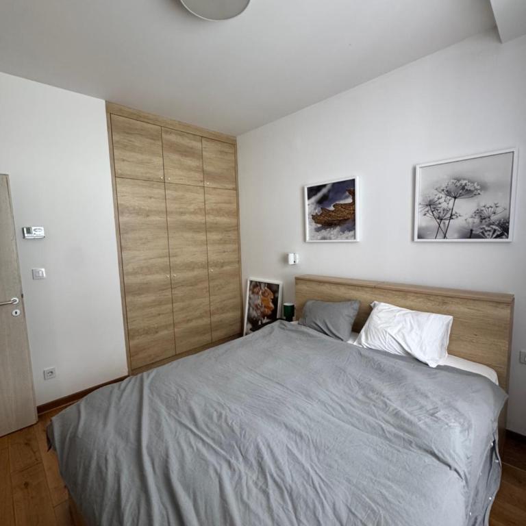 Apartman Vila Jaram, Kopaonik - One-Bedroom Apartment - 18