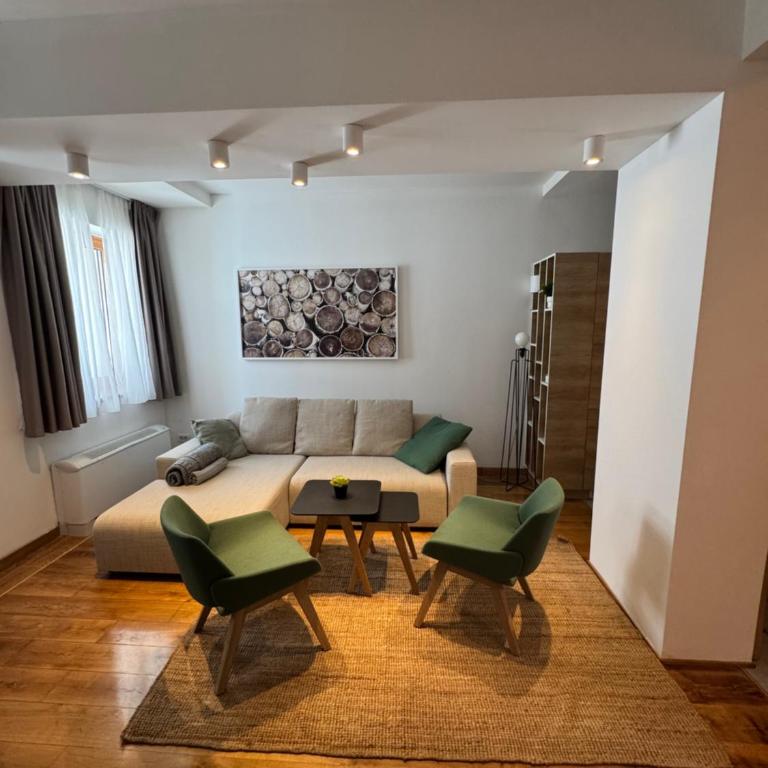 Apartman Vila Jaram, Kopaonik - One-Bedroom Apartment - 23