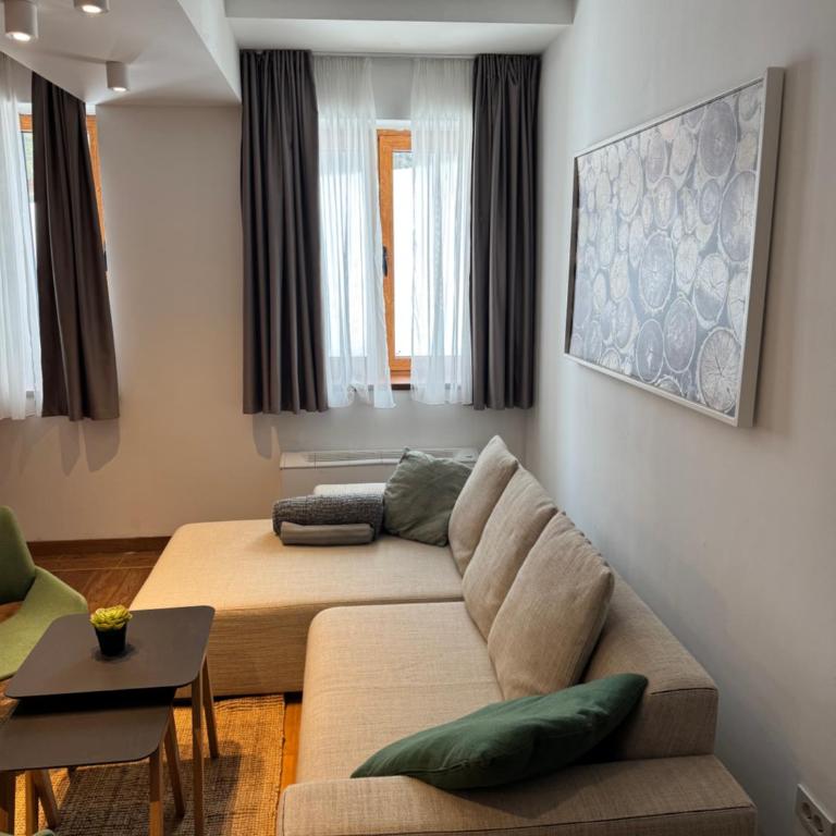 Apartman Vila Jaram, Kopaonik - One-Bedroom Apartment - 8