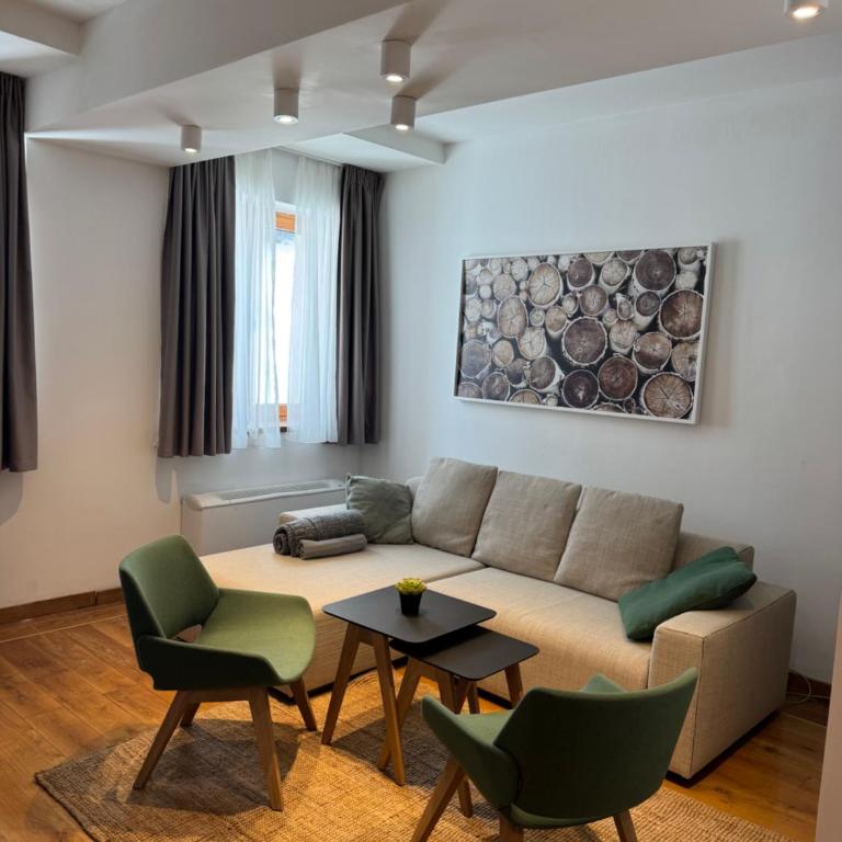 Apartman Vila Jaram, Kopaonik - One-Bedroom Apartment - 14