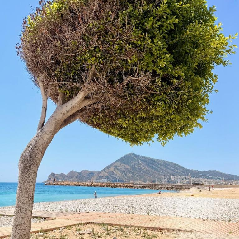 New Calm & Charming Loft Altea - Apartamento de 1 dormitorio - 32