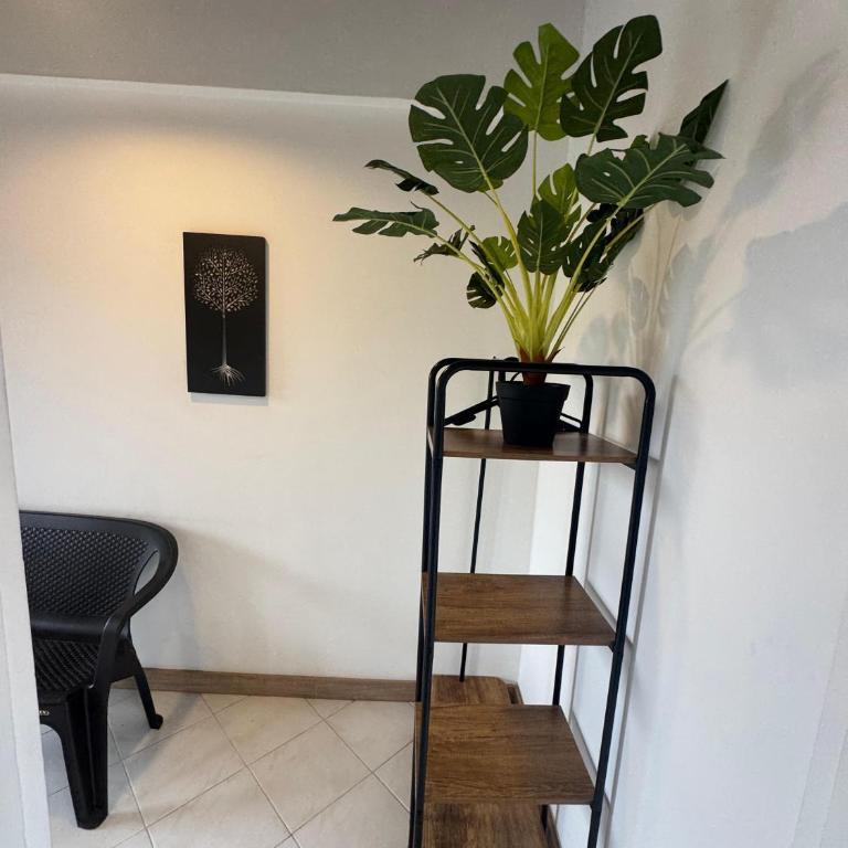 Manila Studio - Apartamento - 5