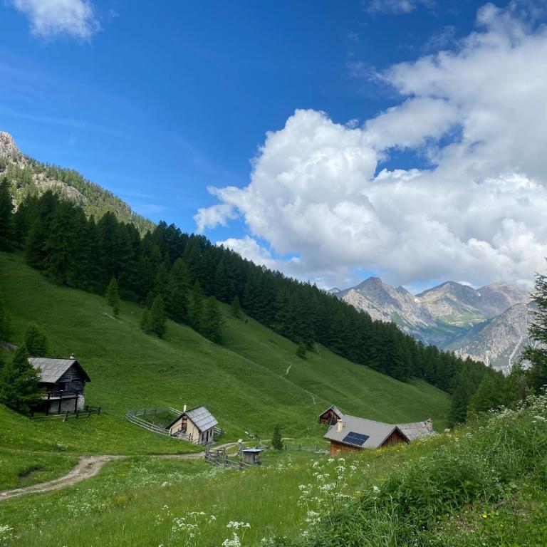 Chalet Alpage aux portes du Queyras - Chalet 1 Chambre - 12