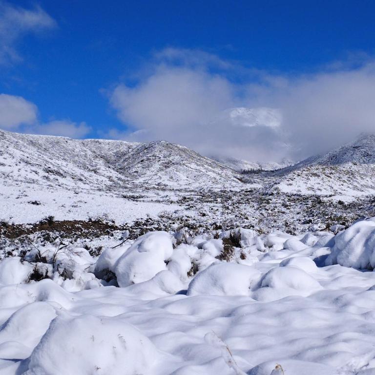 La Nave 2 - Bungalow Familiar - 19