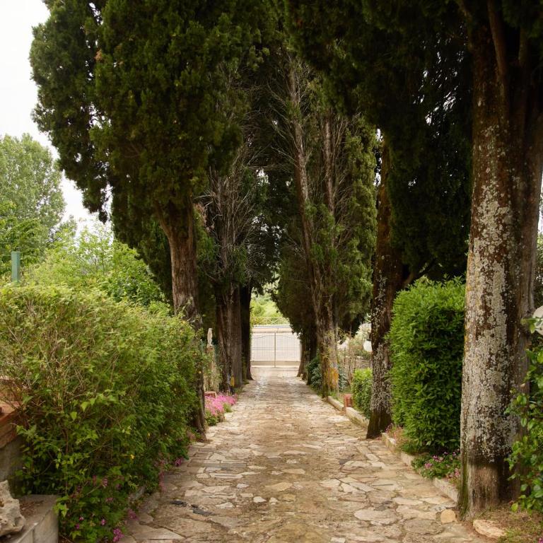 A Casa Dilà-Montepulciano House - Appartamento con 1 Camera da Letto - 25
