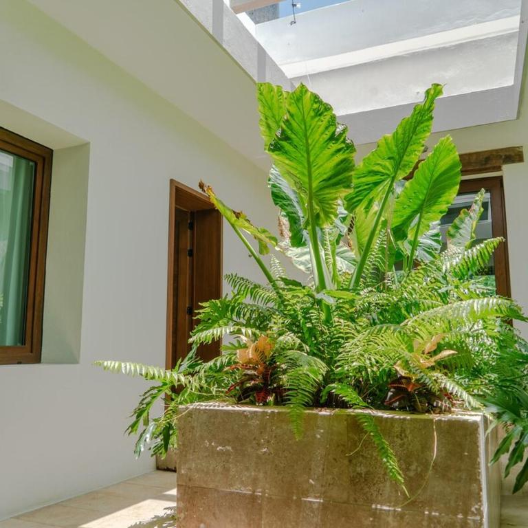 Project 52 - Amazing 5 BR house - Casa de 6 dormitorios - 26