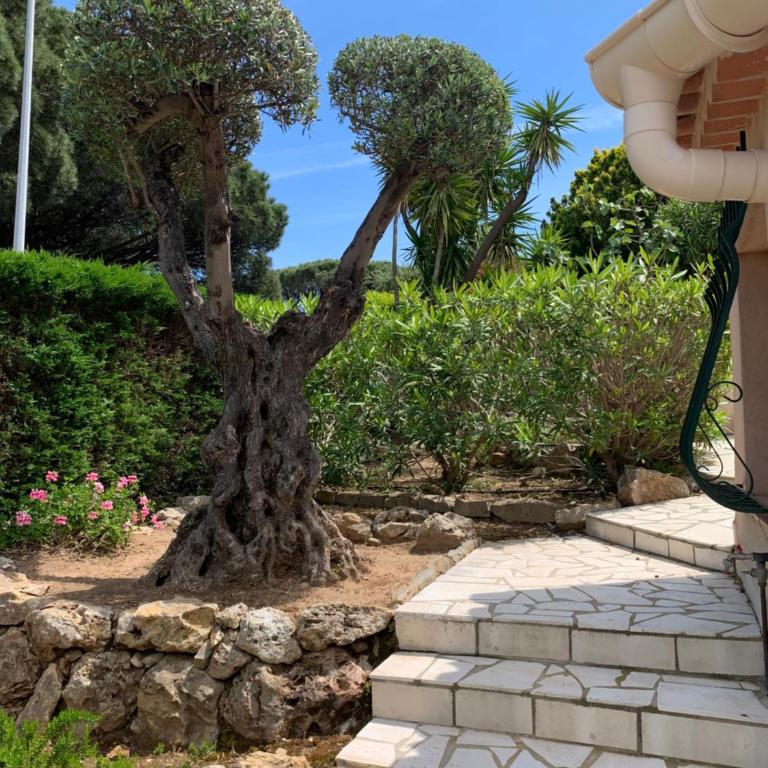 Villa bellevue sainte maxime un écrin de verdure au cœur du sémaphore piscine XXL - Haus mit 3 Schlafzimmern - 19