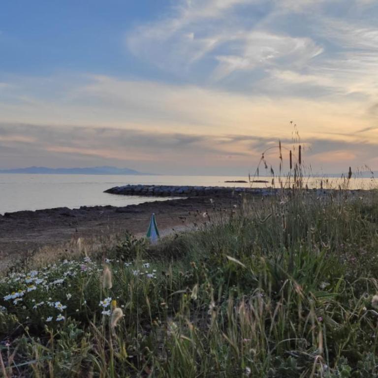 Il Giardino Sul Mare - Villa - Beach Front - 50