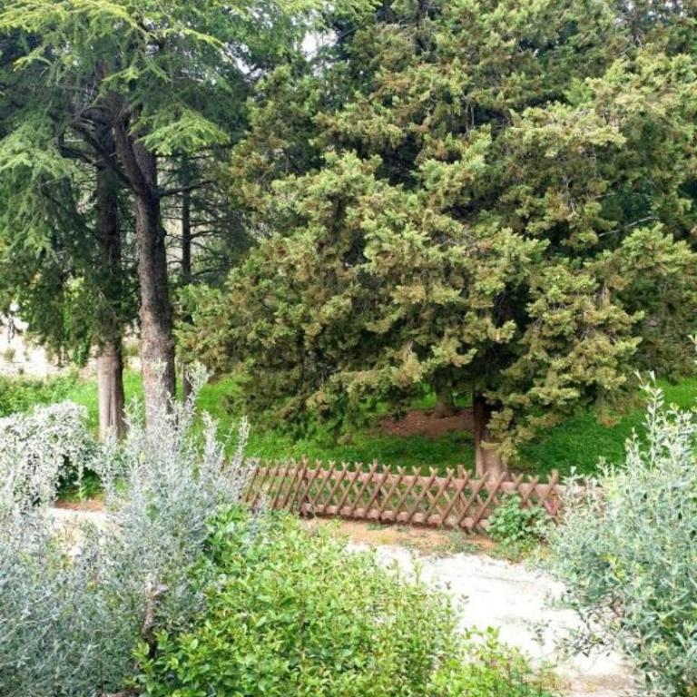 Domus Aromatica, profumo d'Assisi, profumo di casa - Appartamento con 4 Camere da Letto - 58