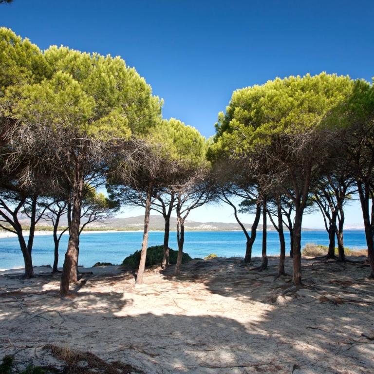 BUDONI MARE, Parcheggio e WIFI gratis - Appartamento Superior - 4