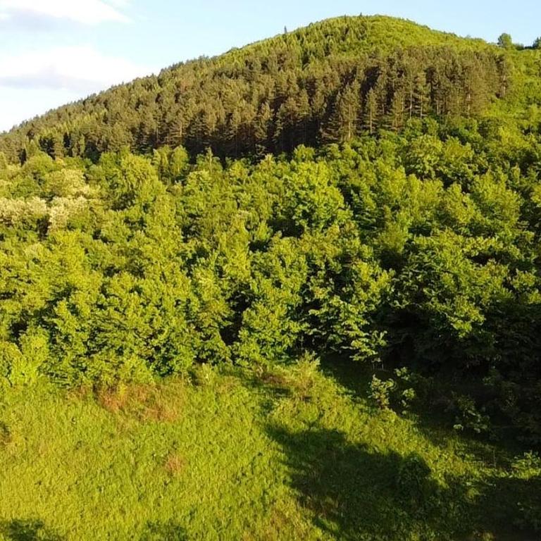 AM Pyramid resting - Apartman sa 1 Spavaćom Sobom - 18