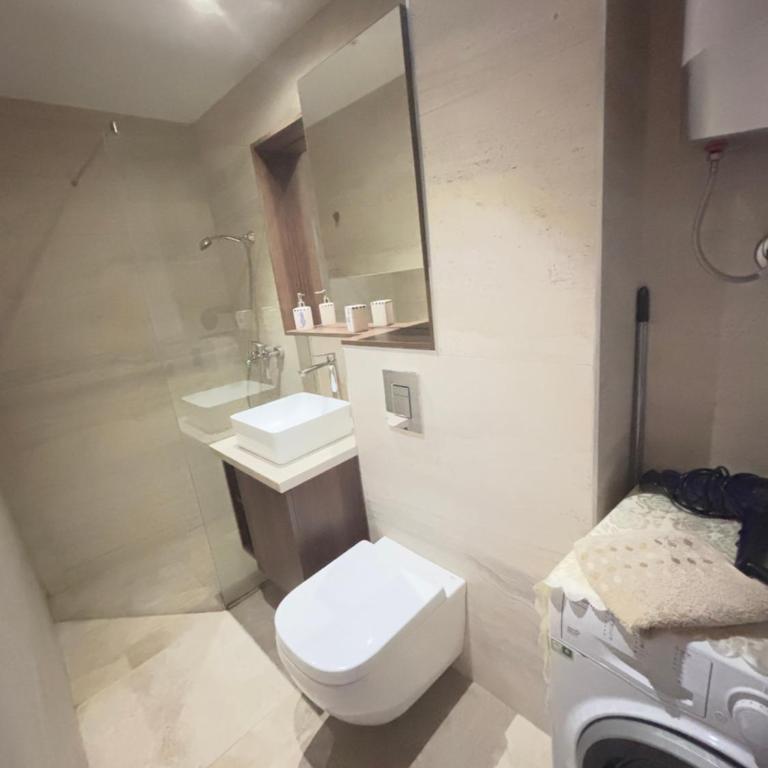 Loft Suite - One-Bedroom Apartment - 4