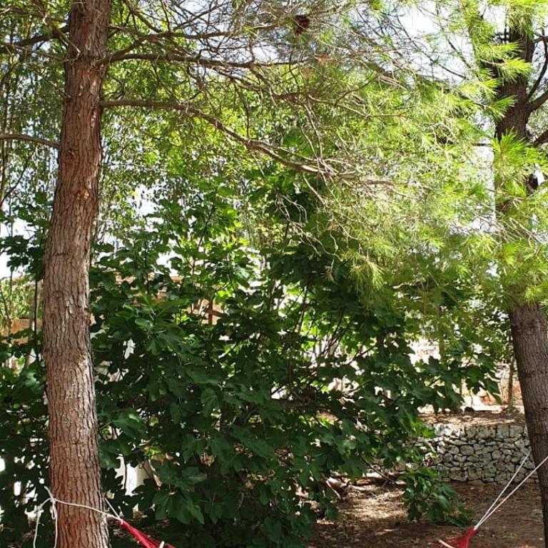 La Casina di Lulù - Villa con 1 Camera da Letto - 2
