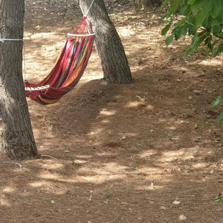 La Casina di Lulù - Villa con 1 Camera da Letto - 15