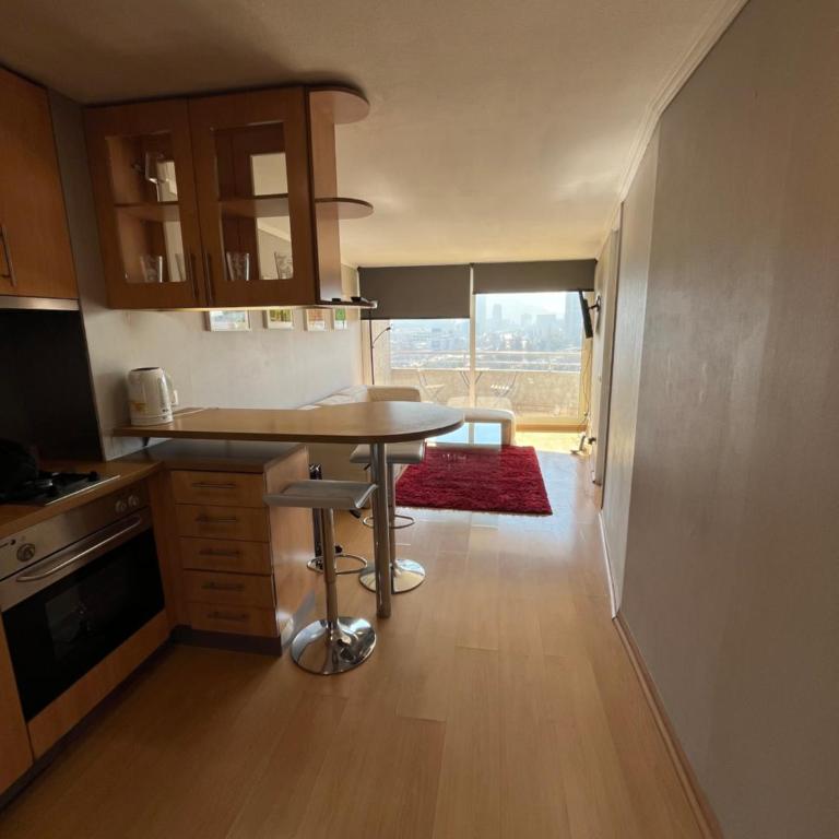 Best view in the best location in Santiago! - Apartamento de 1 dormitorio - 8