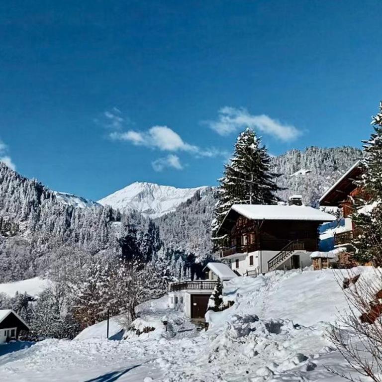 Chalet cosy à Flumet pour 8-10 pers. avec cheminée et WiFi - FR-1-505-191 - Chalet - 10