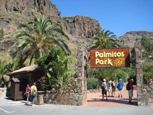 The Ravine House - Apartamento de 1 dormitorio - 29