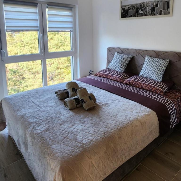 Apartman Tomić - Apartman sa Pogledom na Planinu - 8