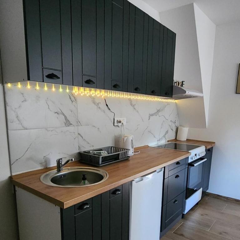 Apartman Tomić - Apartman sa Pogledom na Planinu - 11