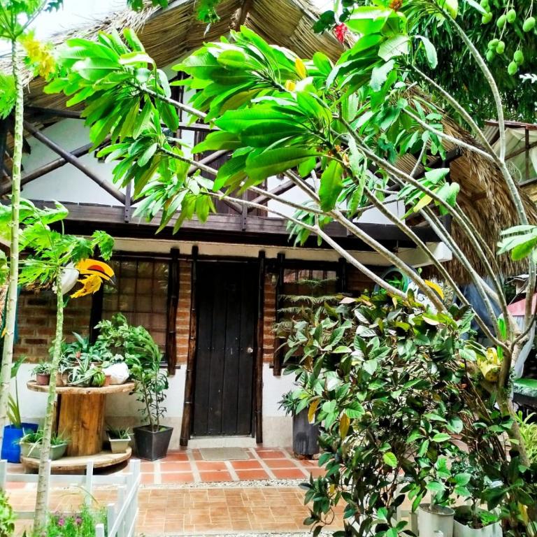 Hostal Kaia - Habitación Doble Estándar con balcón - 1 o 2 camas - 2