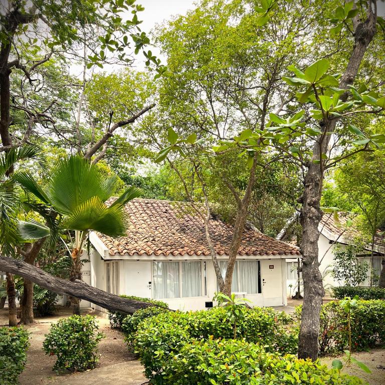 Hotel Irotama Bungalows & Bohios - Bungalow de 2 dormitorios - 2
