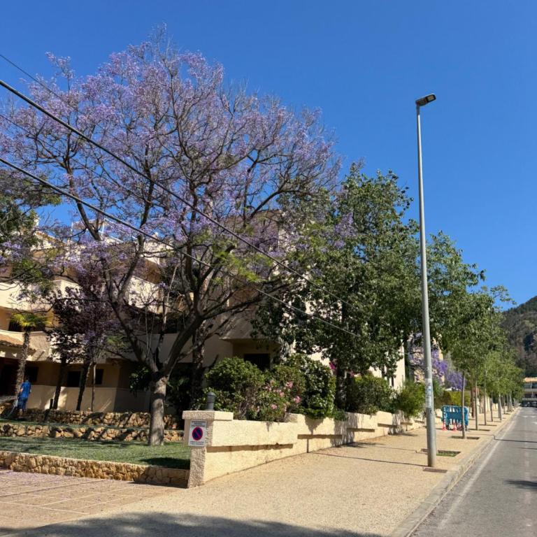 ALBIR Casa Celeste - Two-Bedroom House - 35