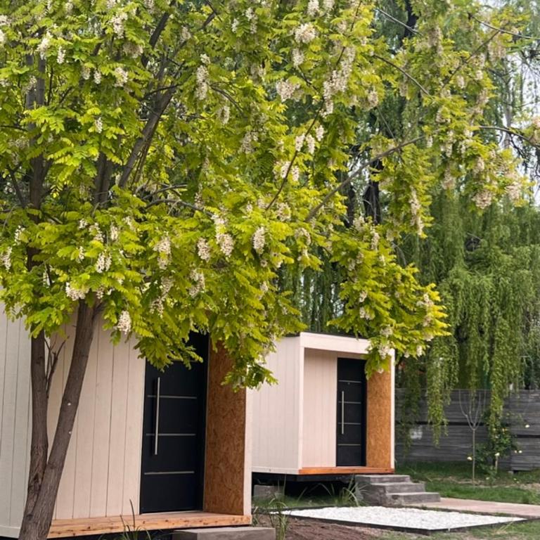 La Misión Tiny Houses - Apartamento de 1 dormitorio - 1