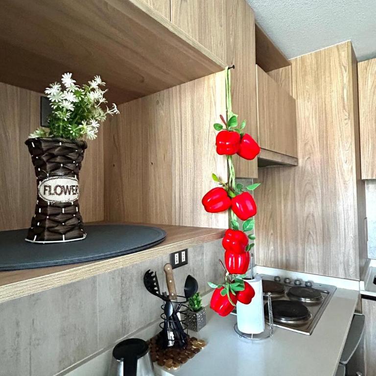 Depto en barrio República - Apartamento de 2 dormitorios - 37