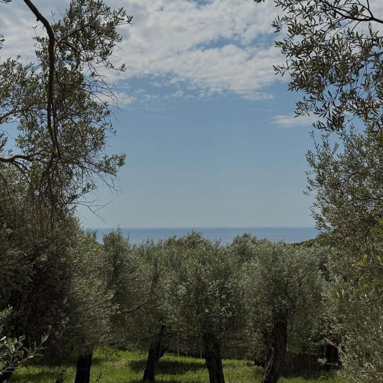 OLEA COTTAGE - Two-Bedroom Apartment - 49