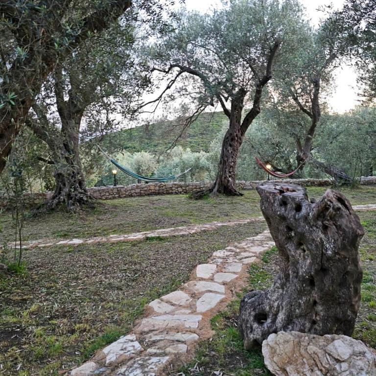 OLEA COTTAGE - Two-Bedroom Apartment - 53