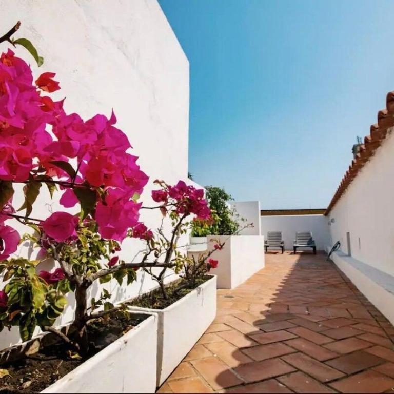 Townhouse Estancia del Virrey in walled city - Apartamento de 3 dormitorios - 39