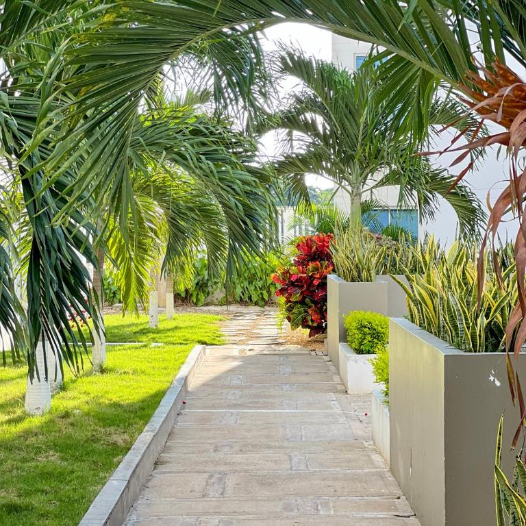 apartamento con alma 888 - Apartamento de 3 dormitorios - 39