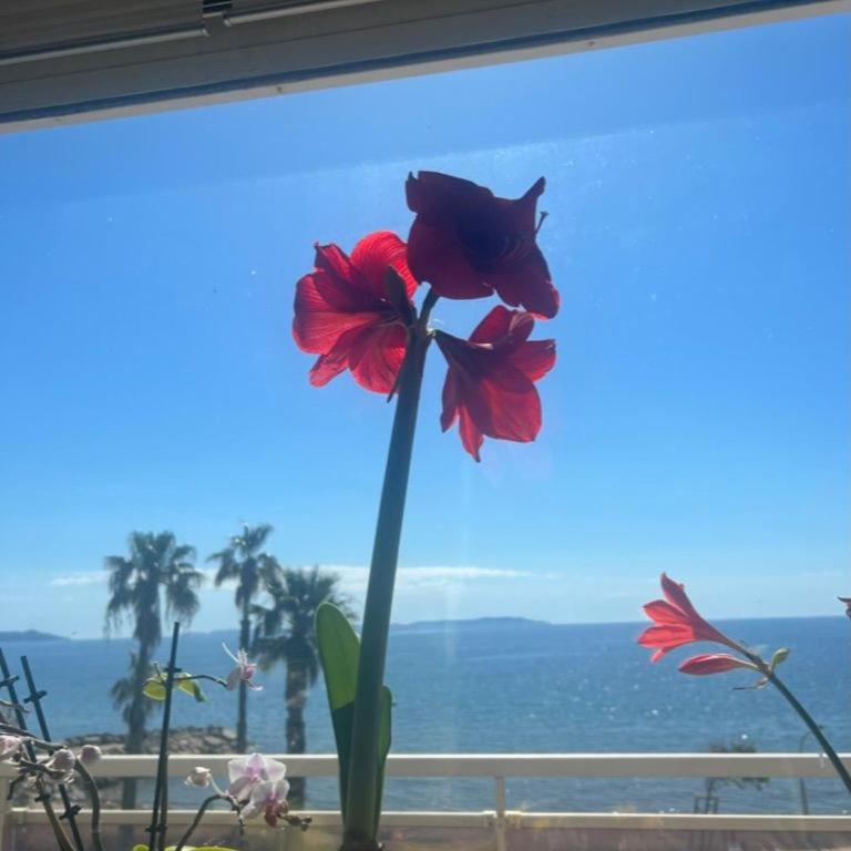 Chez Jo Duplex Terrasse vue mer Hyères - Appartement 2 Chambres - 23